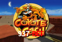 A Experiência Imersiva dos Cassinos Ao Vivo no 937 Bet